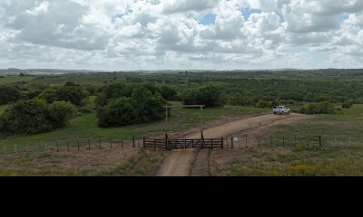 3 hectáreas en Maldonado, preciosa chacra