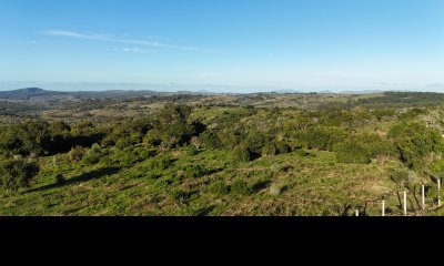 4  hectáreas con monte nativo en Maldonado