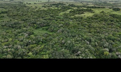 4 hectáreas con 6.600 metros con monte y arroyo