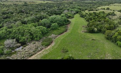 5 hectáreas con monte y arroyo José Ignacio