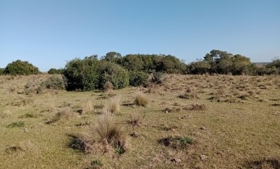 5 hectáreas en Garzón