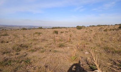 5 hectáreas en Garzón