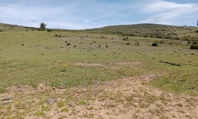 5 hectáreas en Pueblo Edén