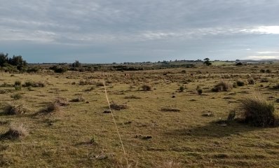 5 hectáreas en Malonado