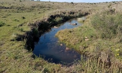 7 hectáreas en Maldonado