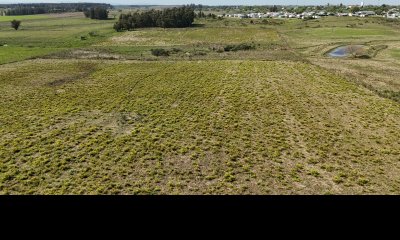 3 hectáreas en Migues con aguada y linda vista