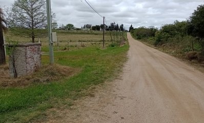 5 hectáreas con 8.000 mts en Canelones