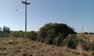 5 hectáreas en Garzón