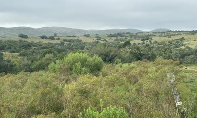 3 hectáreas en Las Cañas