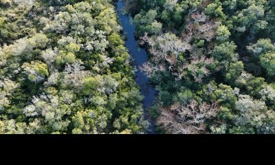 4 hectáreas en Pueblo Edén con arroyo y monte nativo