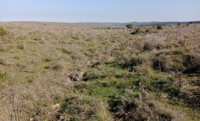 14 hectáreas con 7.500 metros en Maldonado