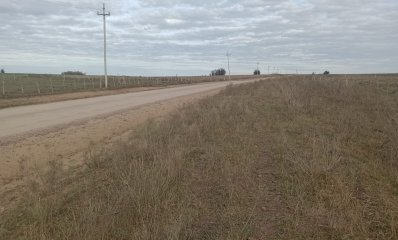 5 hectáreas sobre camino, oportunidad !!!