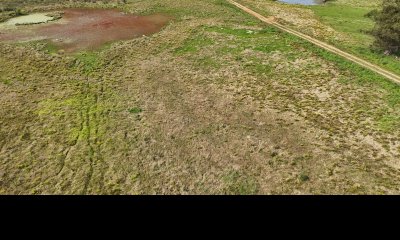 5 hectáreas en Canelones, zona de Noya