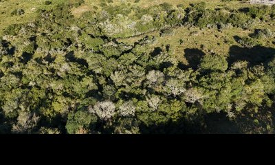 3 hectáreas con monte nativo y buena vista