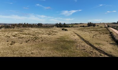 4 hectáreas sobre camino a 6 km de Pueblo Edén