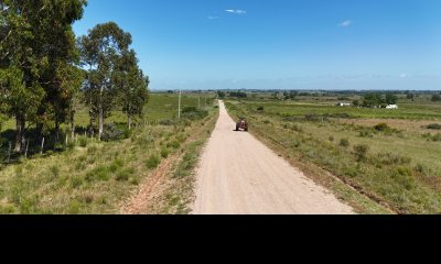 chacra de 8 hectáreas con tajamar y altura