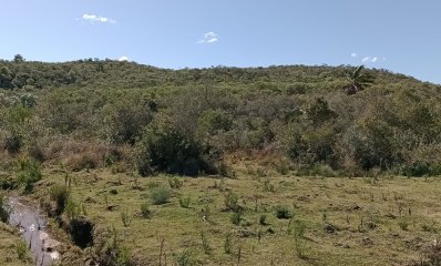 5 hectáreas con monte y cañada