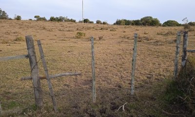 10 hectáreas en Garzón