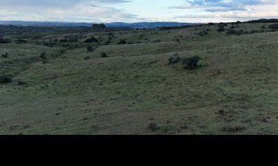 5 hectáreas a 10 km de Pueblo Edén, sobre camino