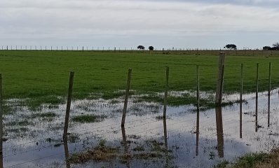 9 hectáreas en lavalleja