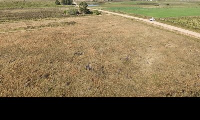 11 hectáreas en Canelones, sobre carretera