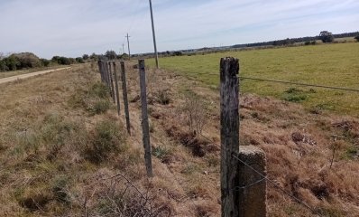 5 hectáreas en Maldonado