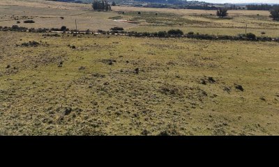 3 hectáreas y media en Pueblo Edén