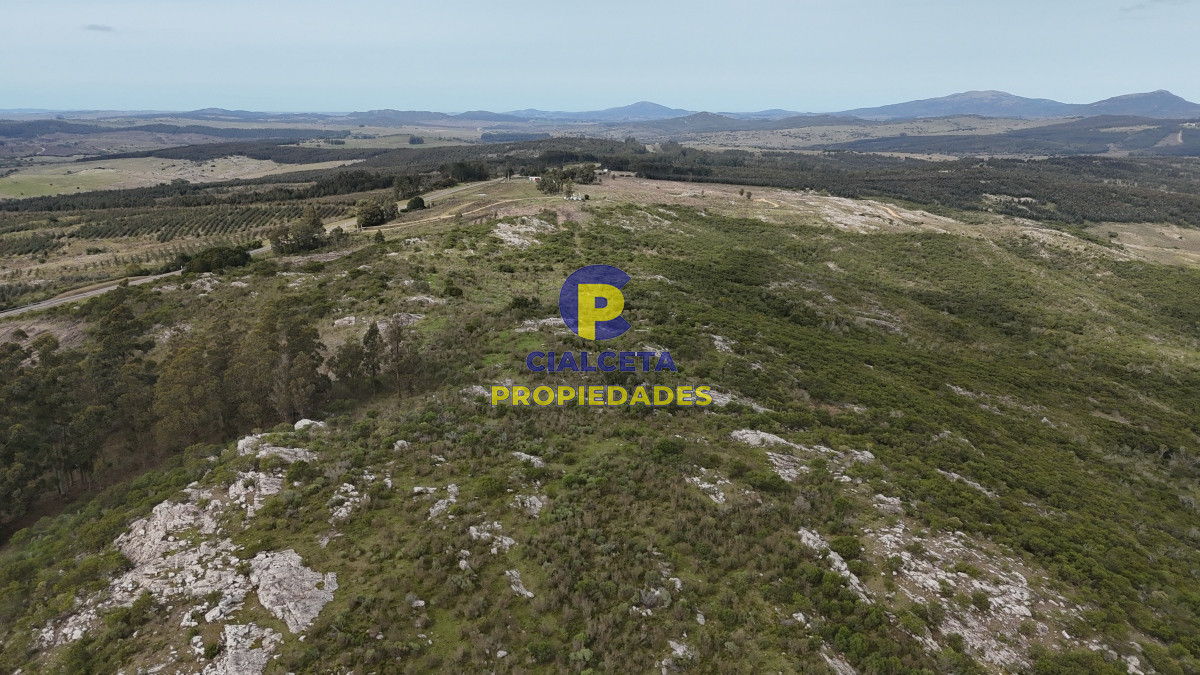 Campo Ref.508 - 31 hectáreas con casa , cerro y buen acceso