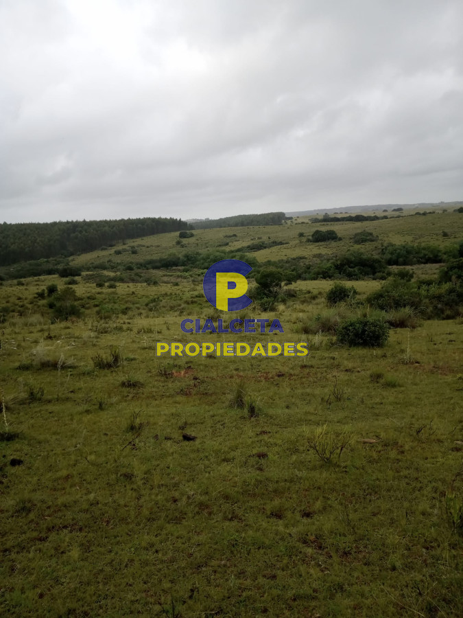 108 hectáreas a 12 km de Garzón