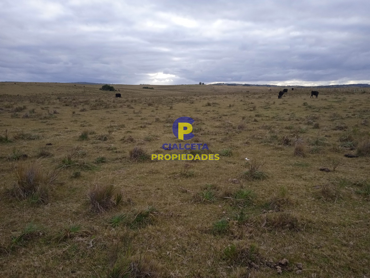 Campo Ref.122 - 60 hectáreas en Garzón