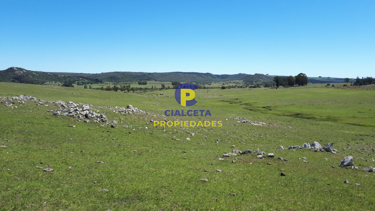 Campo Ref.322 - 100 hectáreas en Lavalleja