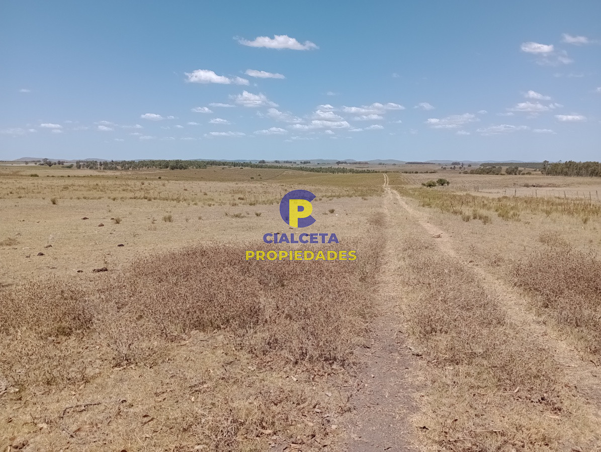 Campo Ref.134 - 21 hectáreas en Lavalleja