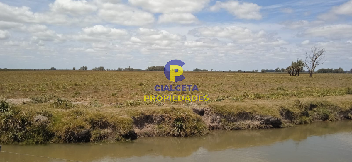 Campo Ref.75 - 643 hectáreas en 33