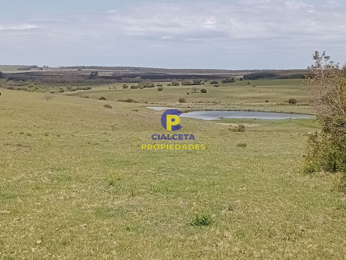 Campo Ref.316 - 32 hectáreas en Maldonado
