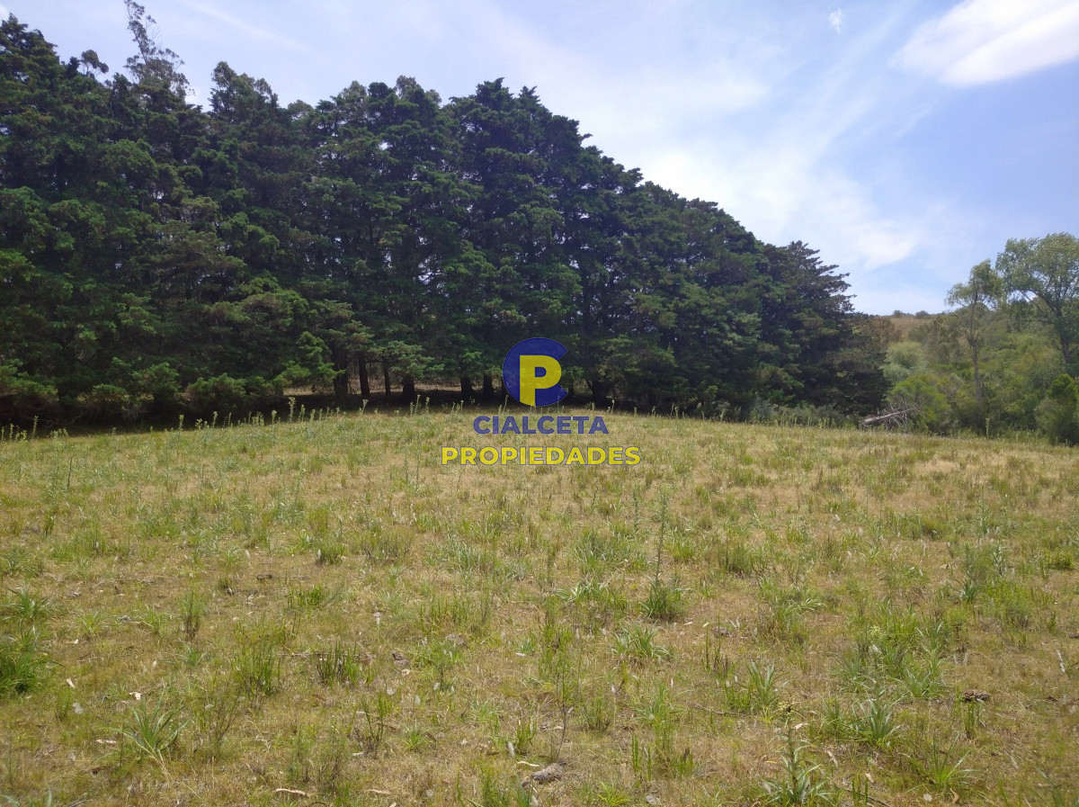 Campo Ref.91 - 267 hectáreas en Maldonado