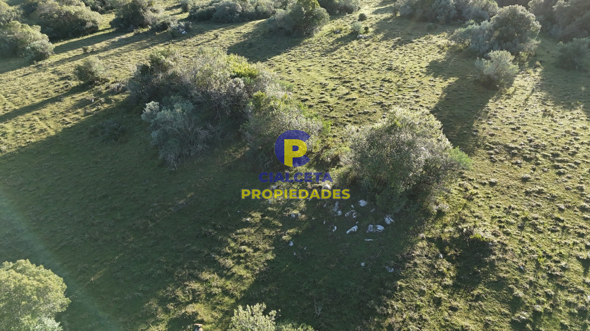 28 hectáreas con cañada y monte nativo, Maldonado - GoPunta - Portal Inmobiliario de Punta del Este - Maldonado