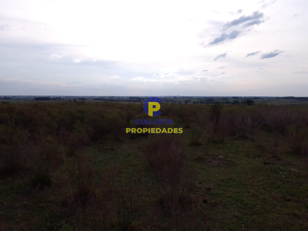 Campo Ref.138 - 33 hectáreas en Lavalleja