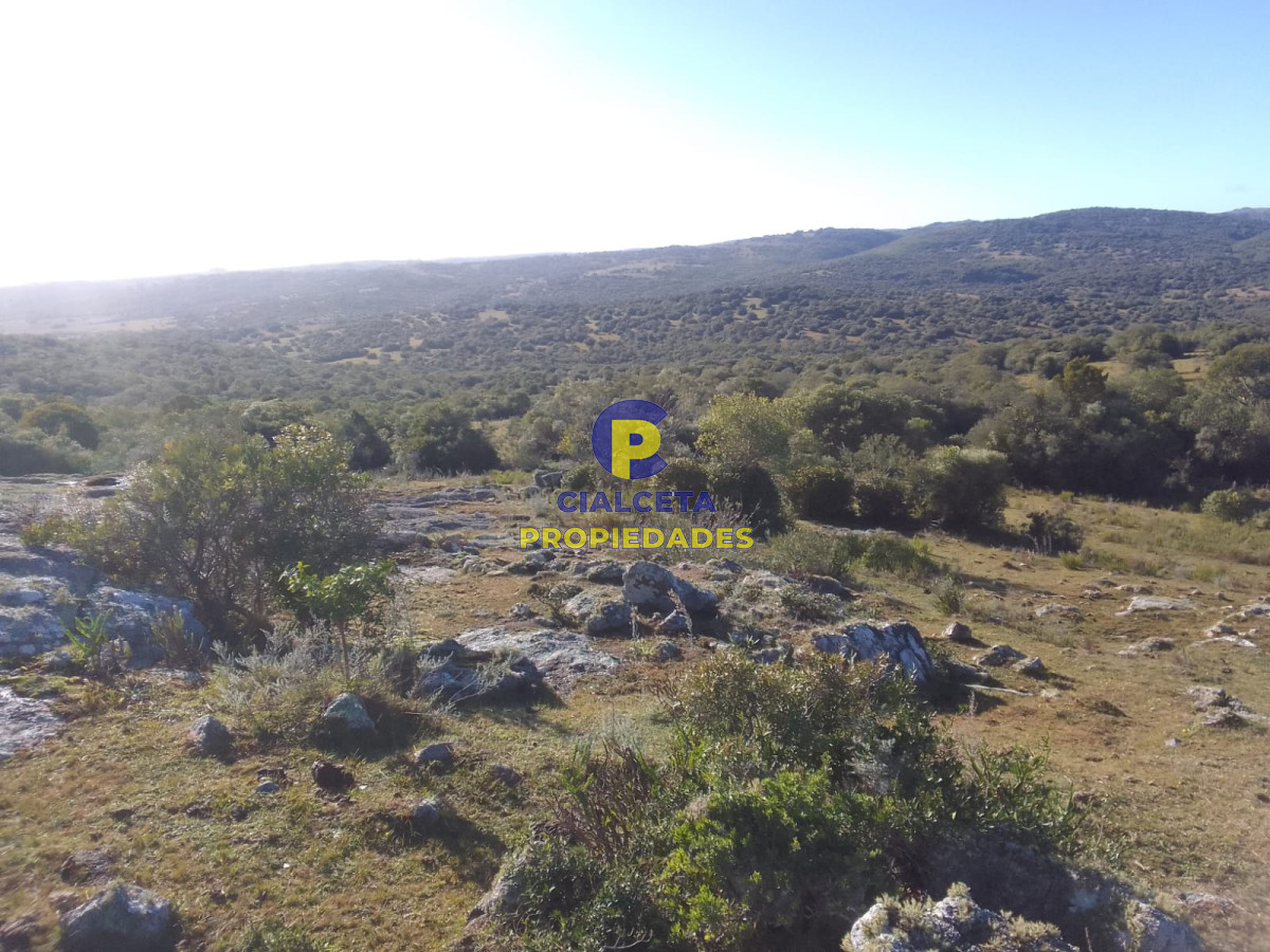Campo Ref.398 - 41 hectáreas y media en Maldonado, Aigua