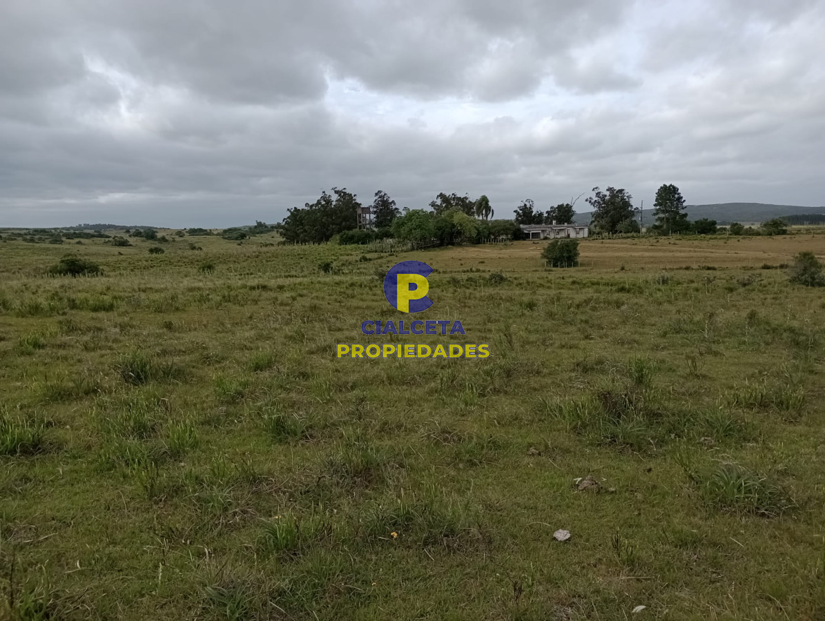Campo Ref.358 - 198 hectáreas en Garzón