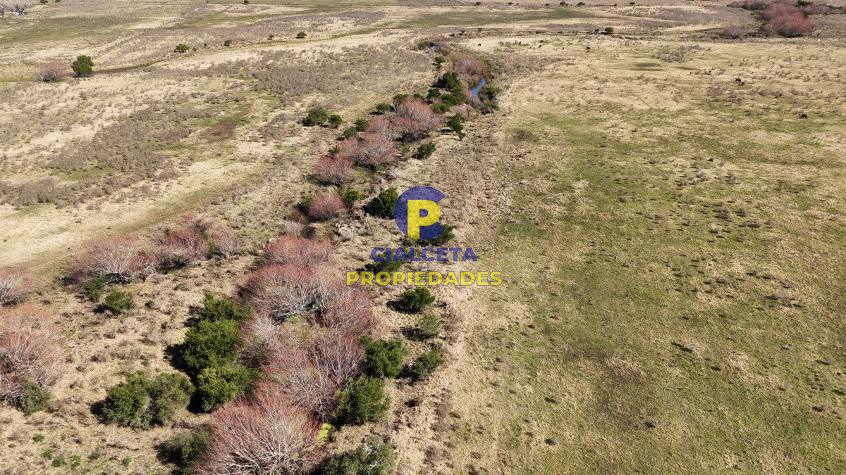 92 hectáreas con cañada y buen acceso - GoPunta - Portal Inmobiliario de Punta del Este - Maldonado