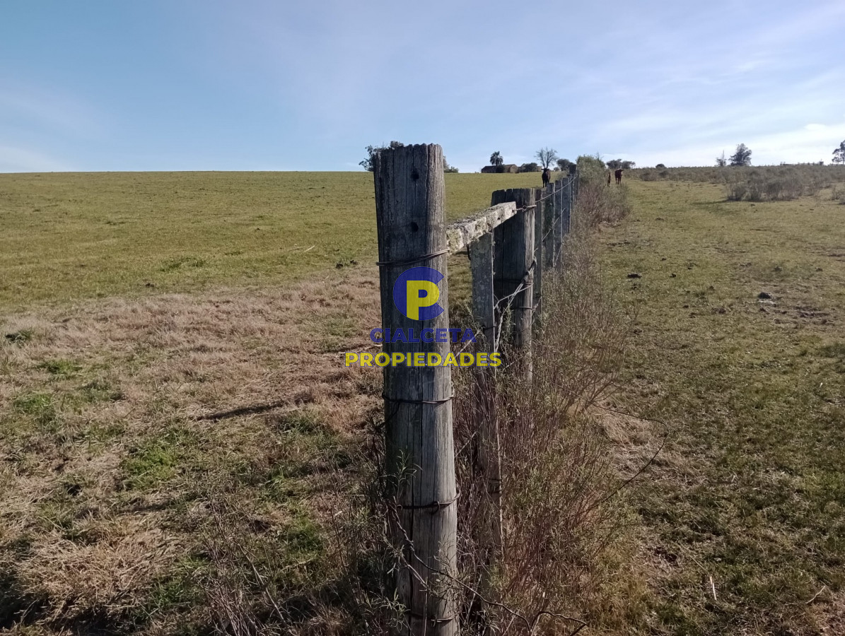 Campo Ref.298 - 82 hectáreas en Pueblo Edén