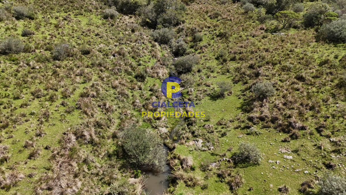Campo Ref.534 - 3 hectáreas con cañada a 25 km de San Carlos, financiadas