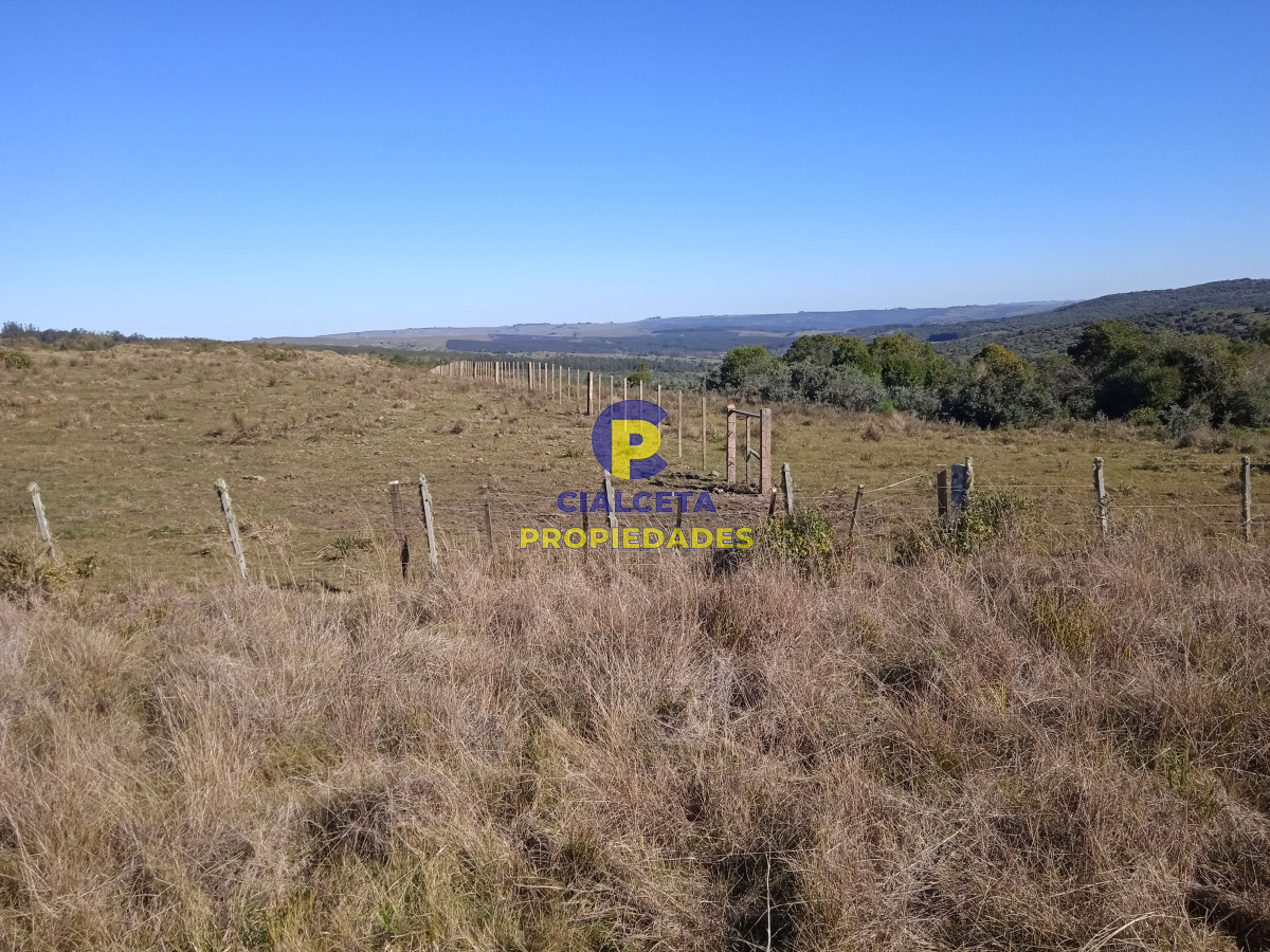 Campo Ref.283 - 273 hectáreas y media en Lavalleja