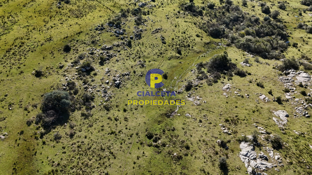 Campo Ref.511 - 29 hectáreas en Lavalleja