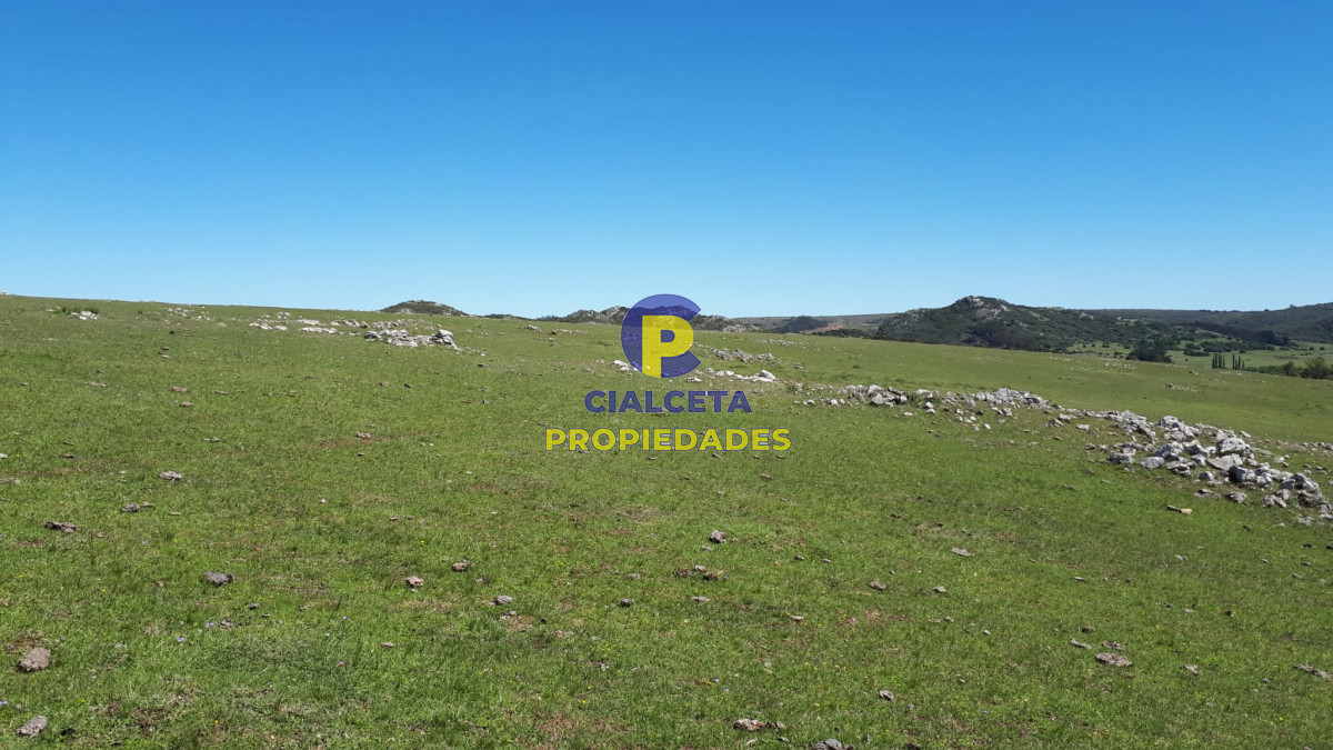 Campo Ref.322 - 100 hectáreas en Lavalleja