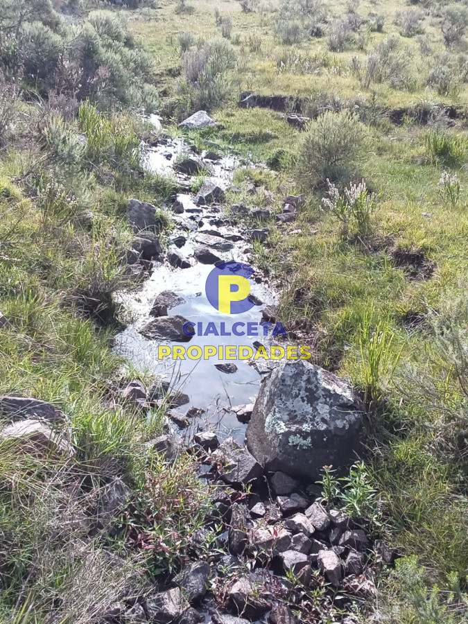 Campo Ref.100 - 106 hectáreas en lavalleja