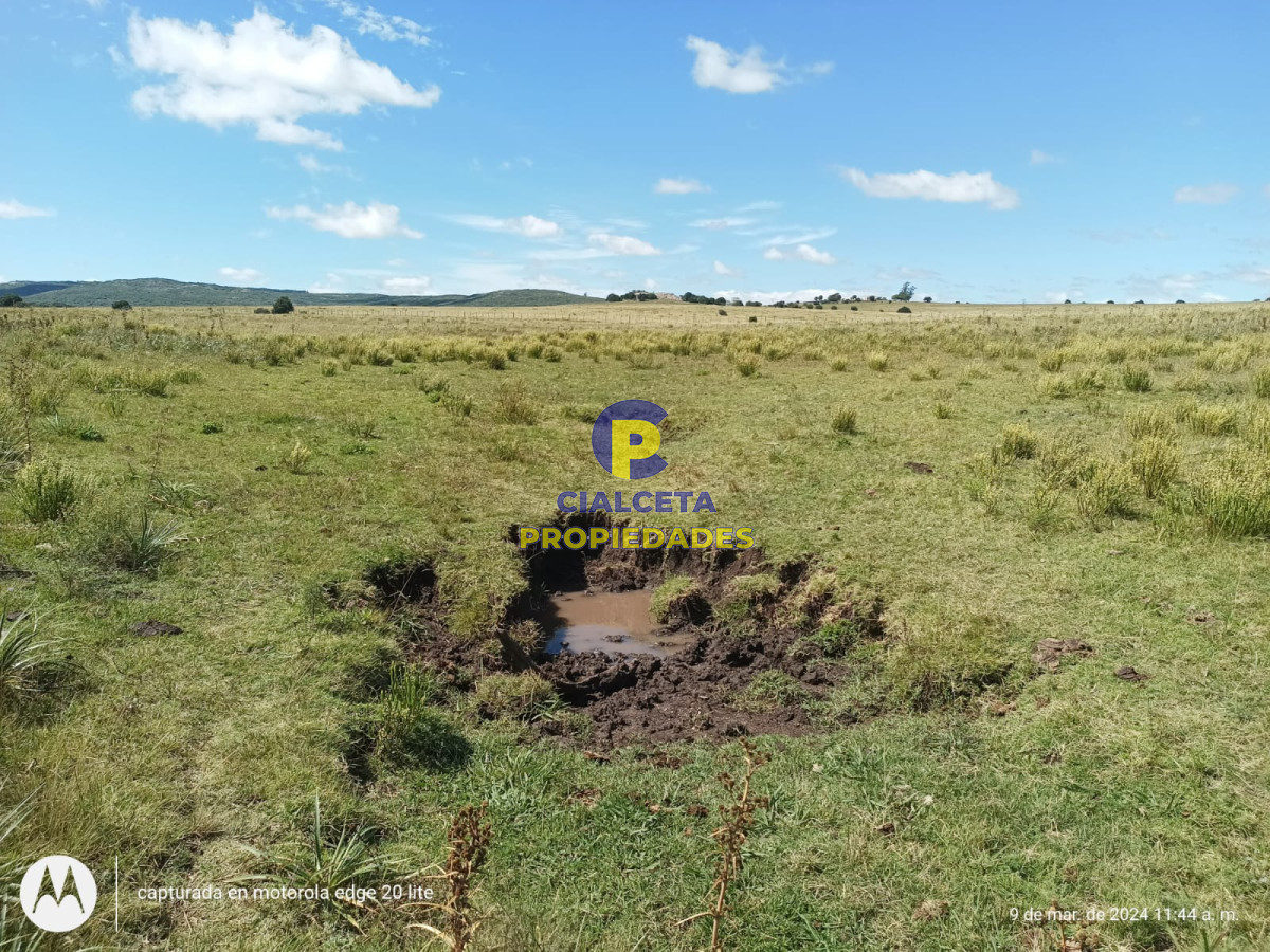 Campo Ref.408 - 16 hectáreas en Minas a la venta