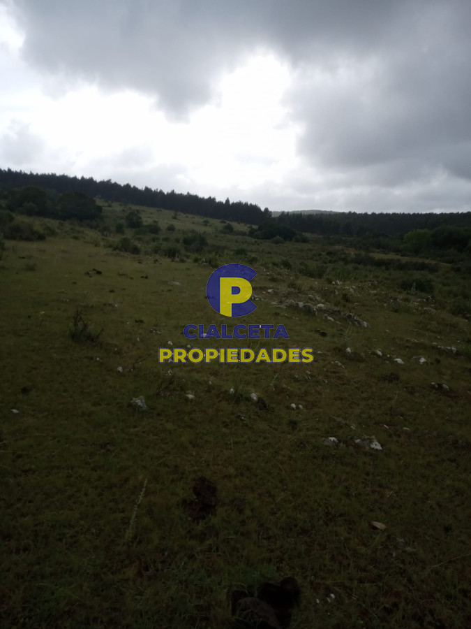 108 hectáreas a 12 km de Garzón - GoPunta - Portal Inmobiliario de Punta del Este - Maldonado