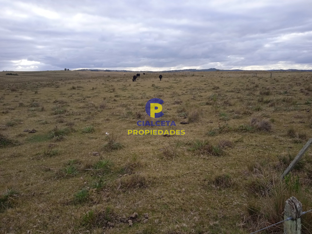 Campo Ref.122 - 60 hectáreas en Garzón