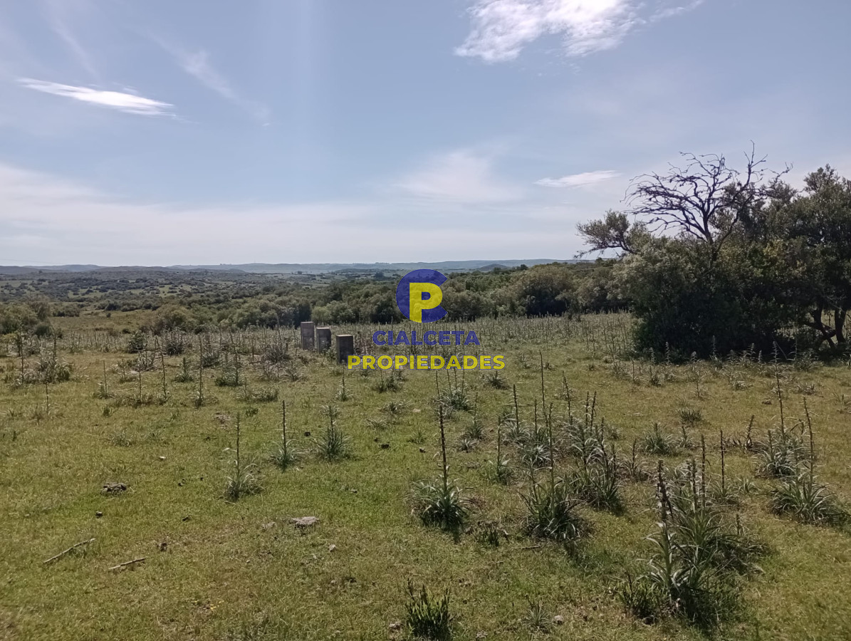 Campo Ref.344 - 54 hectáreas con 9.722 metros en Maldonado